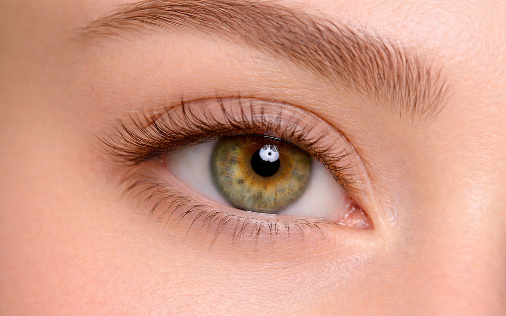 Eyes that tell a story: the rise of oculomics – Frank and Lucie