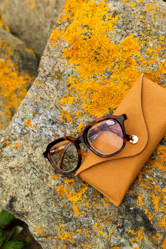Winks, Companions, Slipcases – which case fits your style?