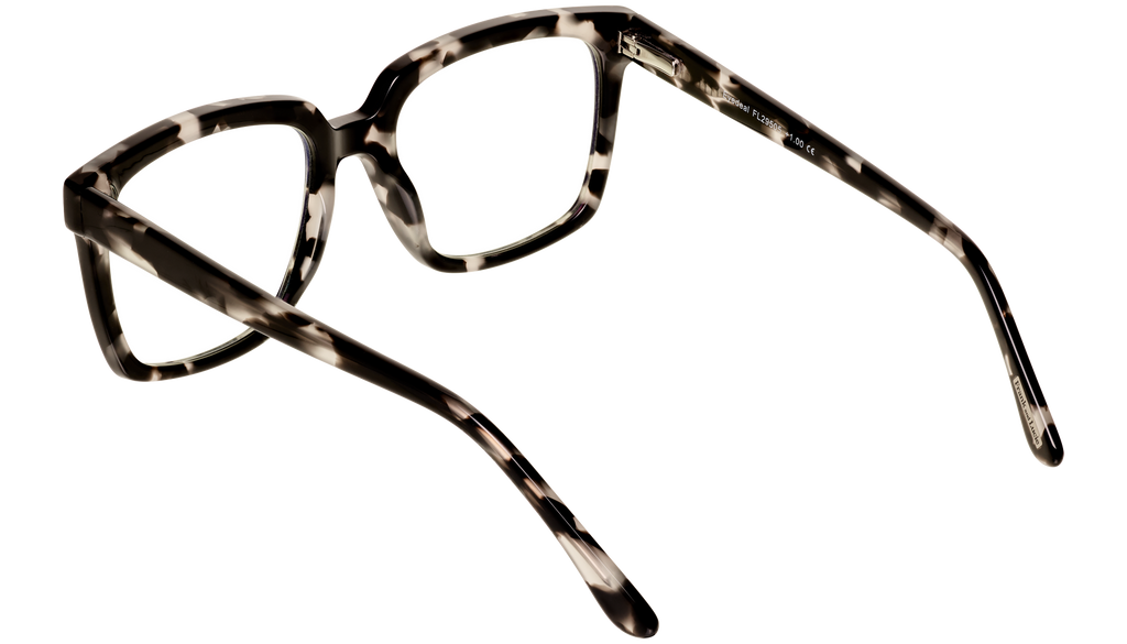 Back view of Frank and Lucie Eyedeal glasses in the color Cloud with a timeless design suitable for men and women