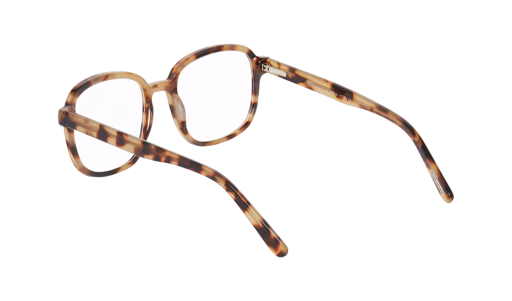 Back angled view of the Frank and Lucie - Eyeknow small glasses in tortoiseshell pattern, showcasing slim temples and lightweight design.