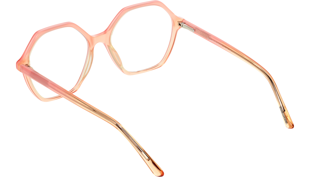 Back side picture of Frank and lucie Eyewill glasses in the color Camargue