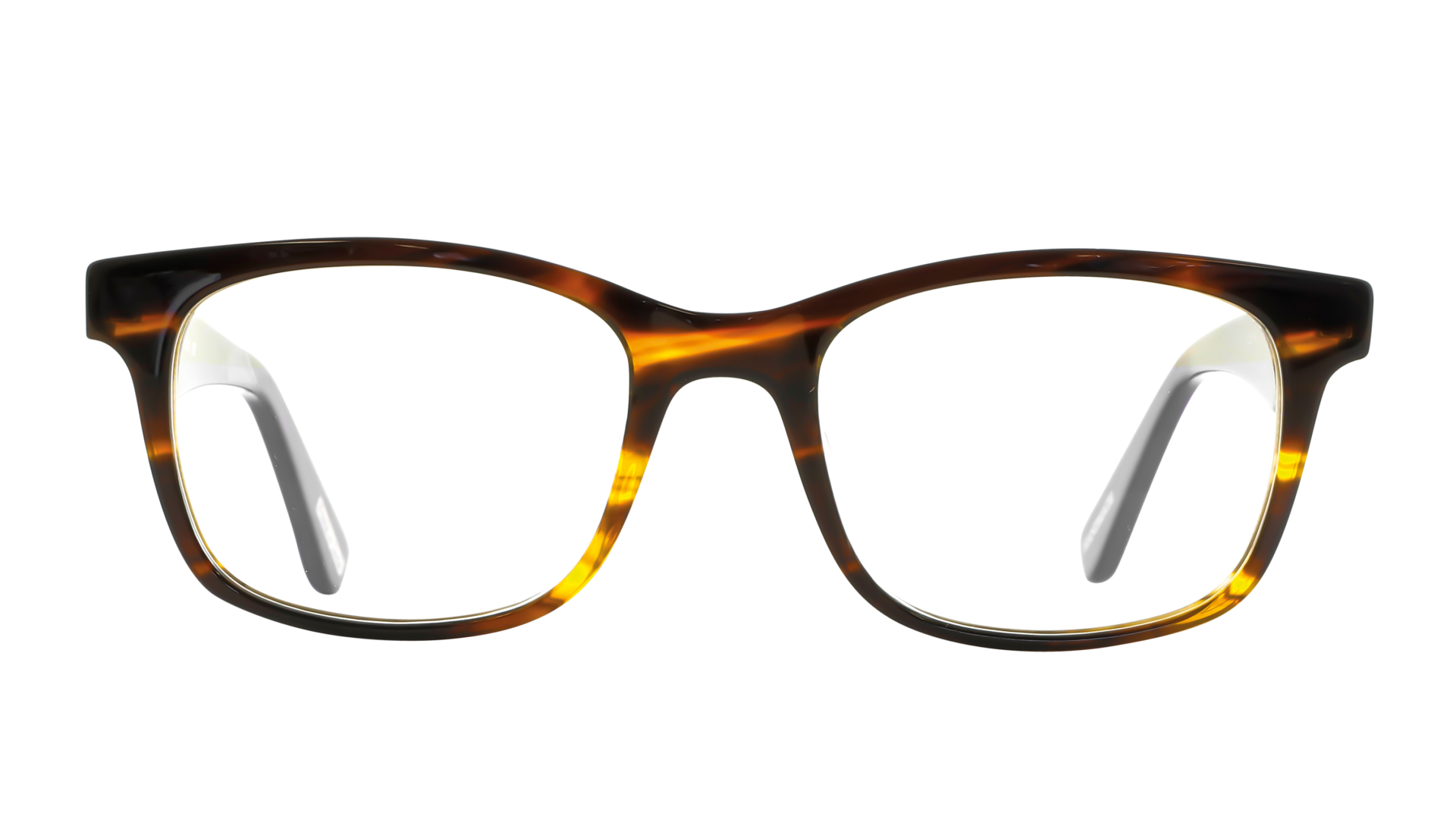 Eyequarium – Frank and Lucie